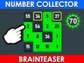 Spel Nummersamlare: Brainteaser  på nätet