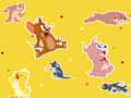 Spel Tom och Jerry Show Hitta det!  på nätet