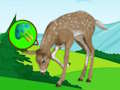 Spel Deer Meadow Escape  på nätet