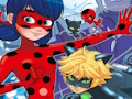 Spel Ladybug Hitta skillnaderna  på nätet