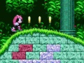 Spel Mighty & Ray i Sonic 2  på nätet