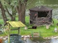 Spel Mystery Lake Escape på nätet