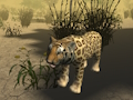 Spel Jaktsimulator för afrikansk gepard  på nätet