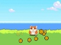 Spel Hamster Kombat -klickare på nätet