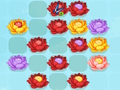 Spel Blomma match-3 på nätet