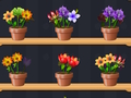 Spel Bra blomstermästare  på nätet