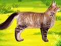 Spel Katt Djurläkare Tandläkare  på nätet