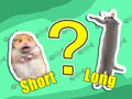 Spel Kids Quiz: Kortast och längst  på nätet