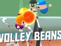Spel Volleybönor  på nätet