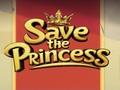 Spel Rädda prinsessan  på nätet