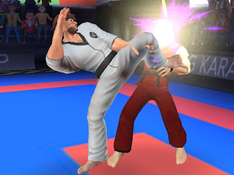Spel Karate kämpe på nätet