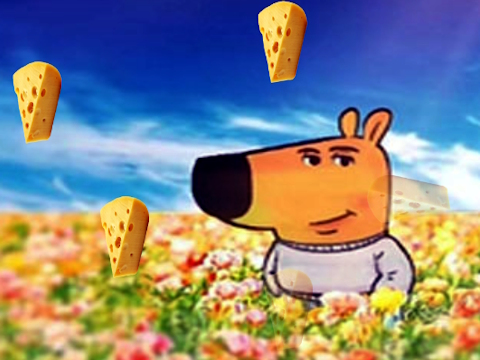 Spel Cool kyla dold ost  på nätet
