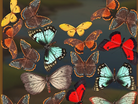 Spel MergeButerfly: 2048! på nätet