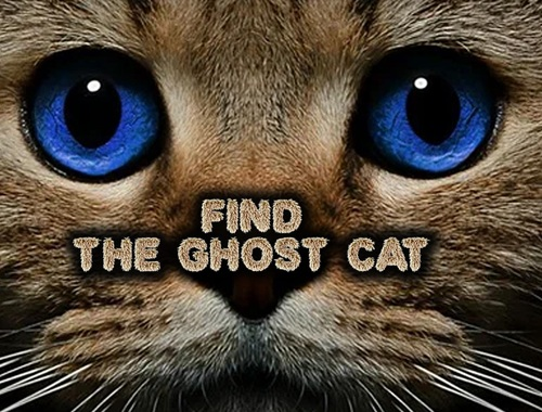 Spel Hitta Ghost Cat  på nätet