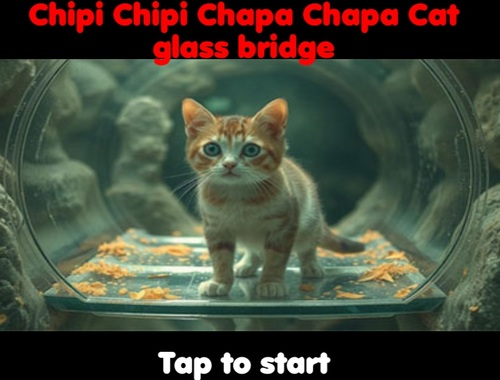 Spel Chipi Chipi Chapa Chapa Cat Glass Bridge  på nätet