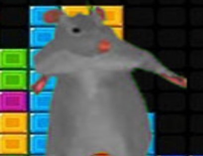 Spel Ratomilton fallande block  på nätet