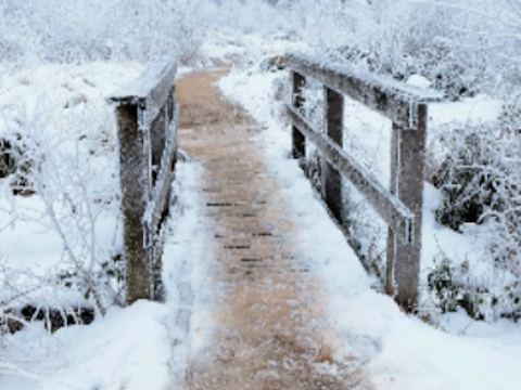 Spel Bridge Winter Snow Jigsaw  på nätet