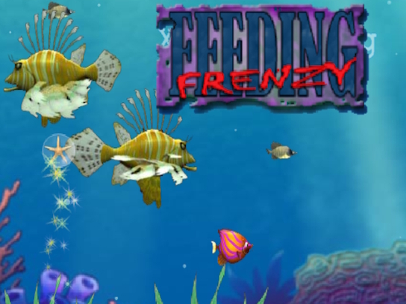 Spel Utfodring av frenesi på nätet