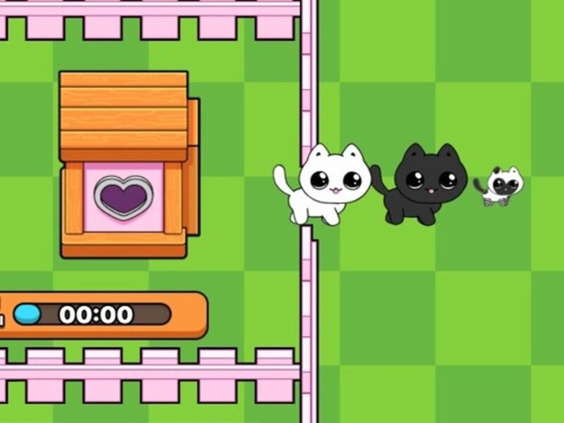 Spel Mina kattungar. Katärlden på nätet