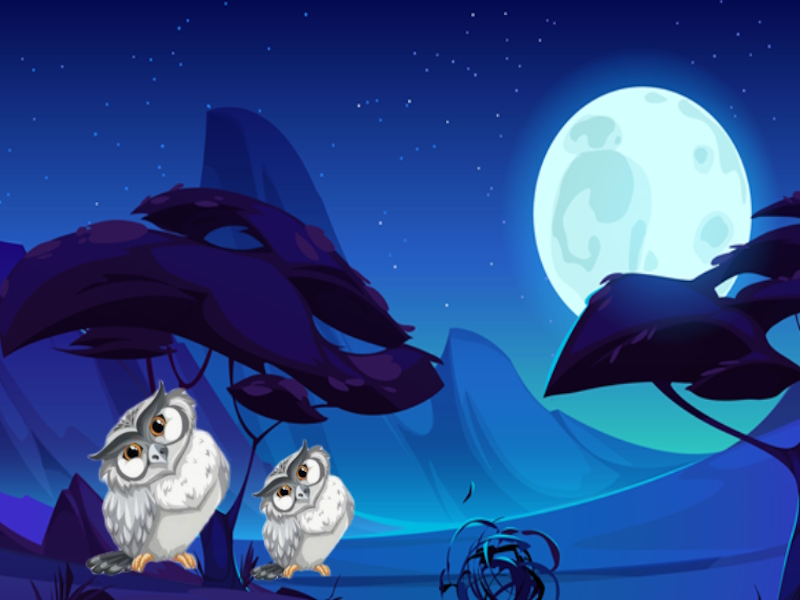 Spel Night Paws räddning på nätet