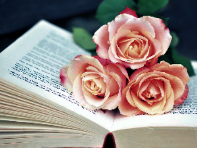 Spel Book of Blooms Jigsaw på nätet